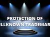 PROTECTION OF WELL-KNOWN TRADEMARKS