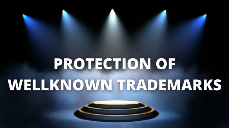 PROTECTION OF WELL-KNOWN TRADEMARKS