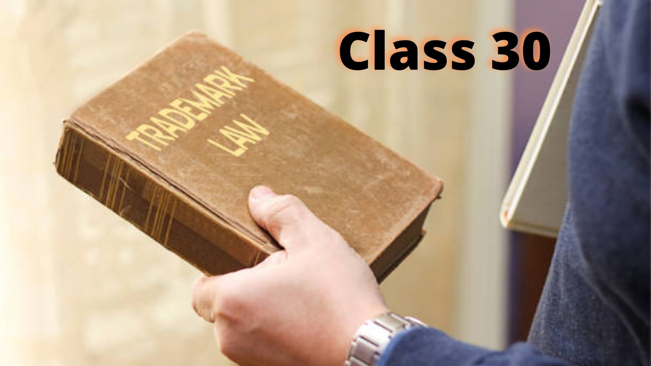 TRADEMARK CLASS THIRTY