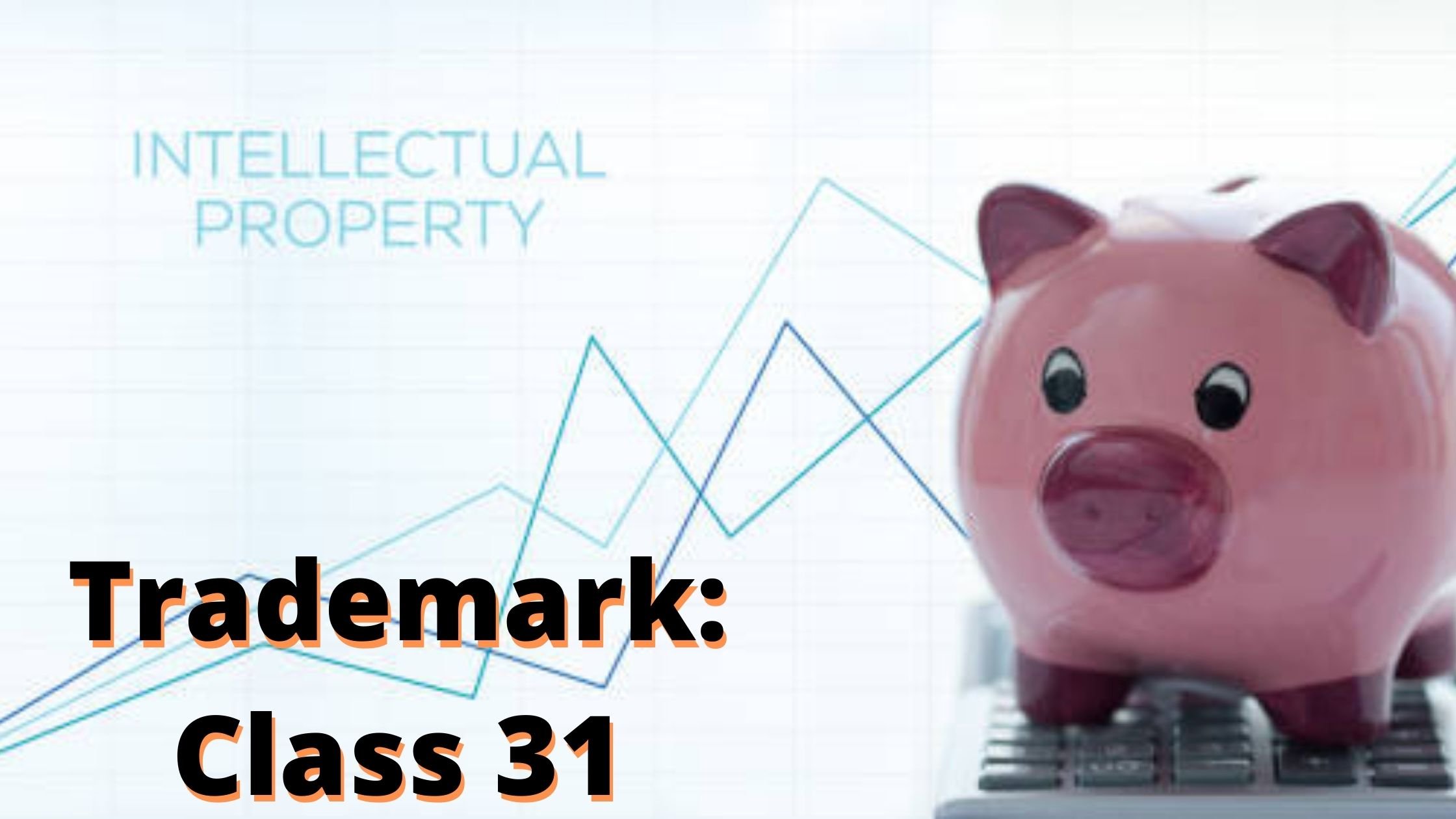 TRADEMARK CLASS THIRTY-ONE