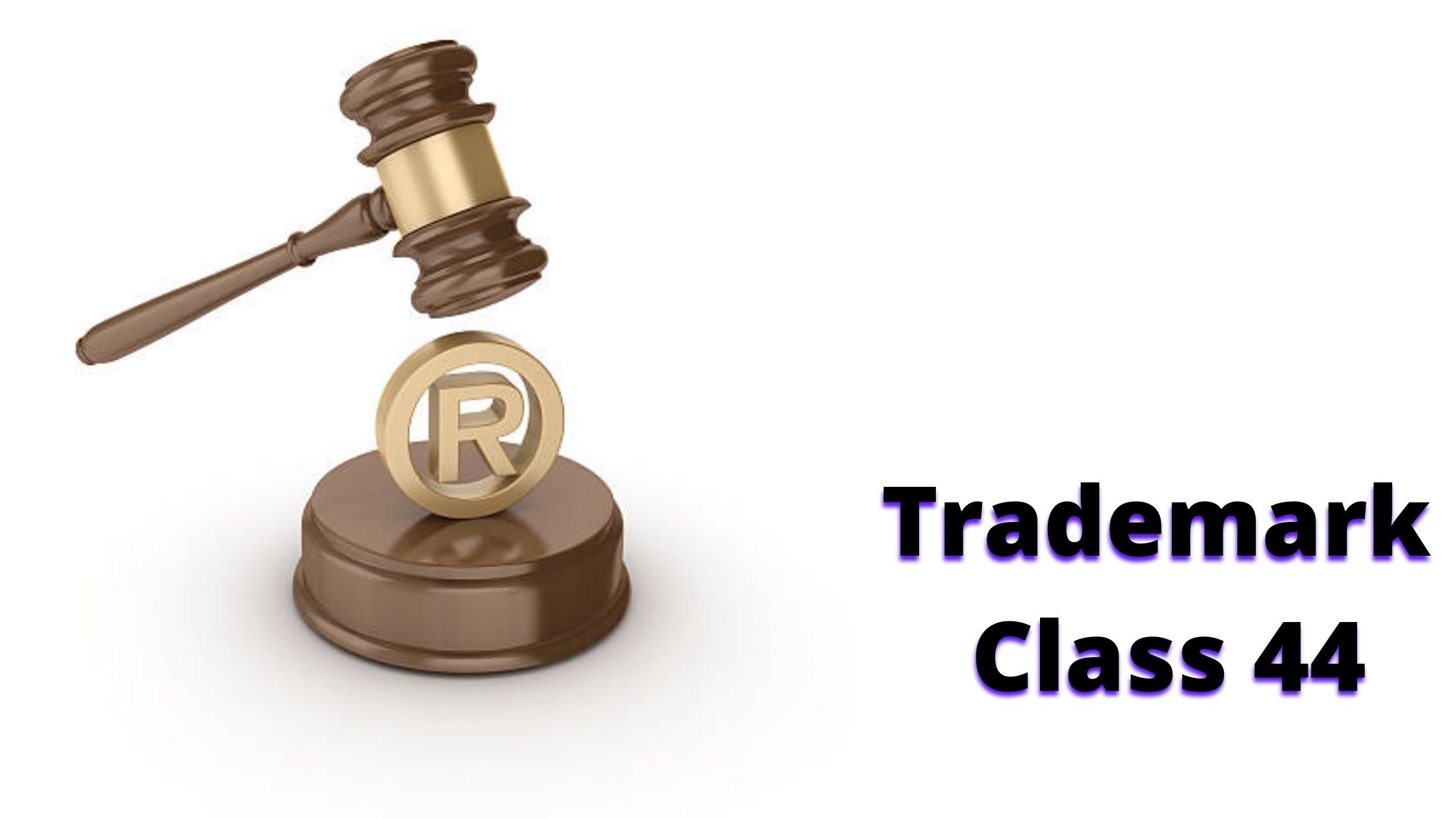 TRADEMARK CLASS FOURTY-FOUR