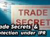 Trade Secrets and their Protection under IPR Law