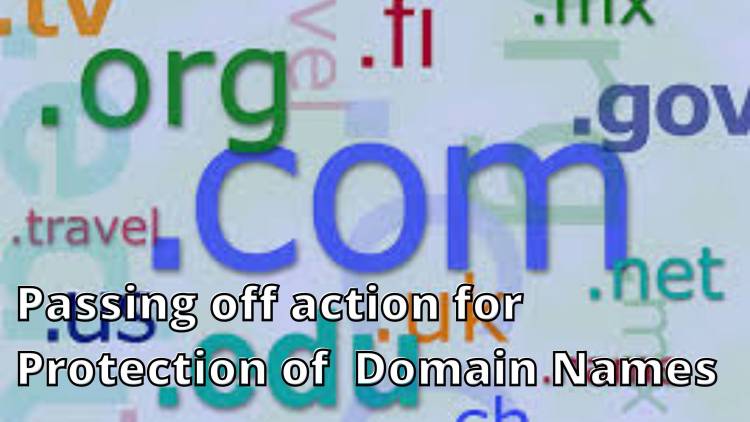 Passing off action for the protection of the Domain Names