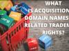 WHAT IS THE ACQUISITION OF DOMAIN NAMES AND RELATED TRADEMARK OR SERVICE MARK RIGHTS?