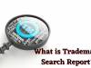 What is Trademark Search? What is Search Report?