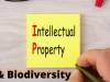 INTELLECTUAL PROPERTY AND BIODIVERSITY : ECONOMIC PERSPECTIVE