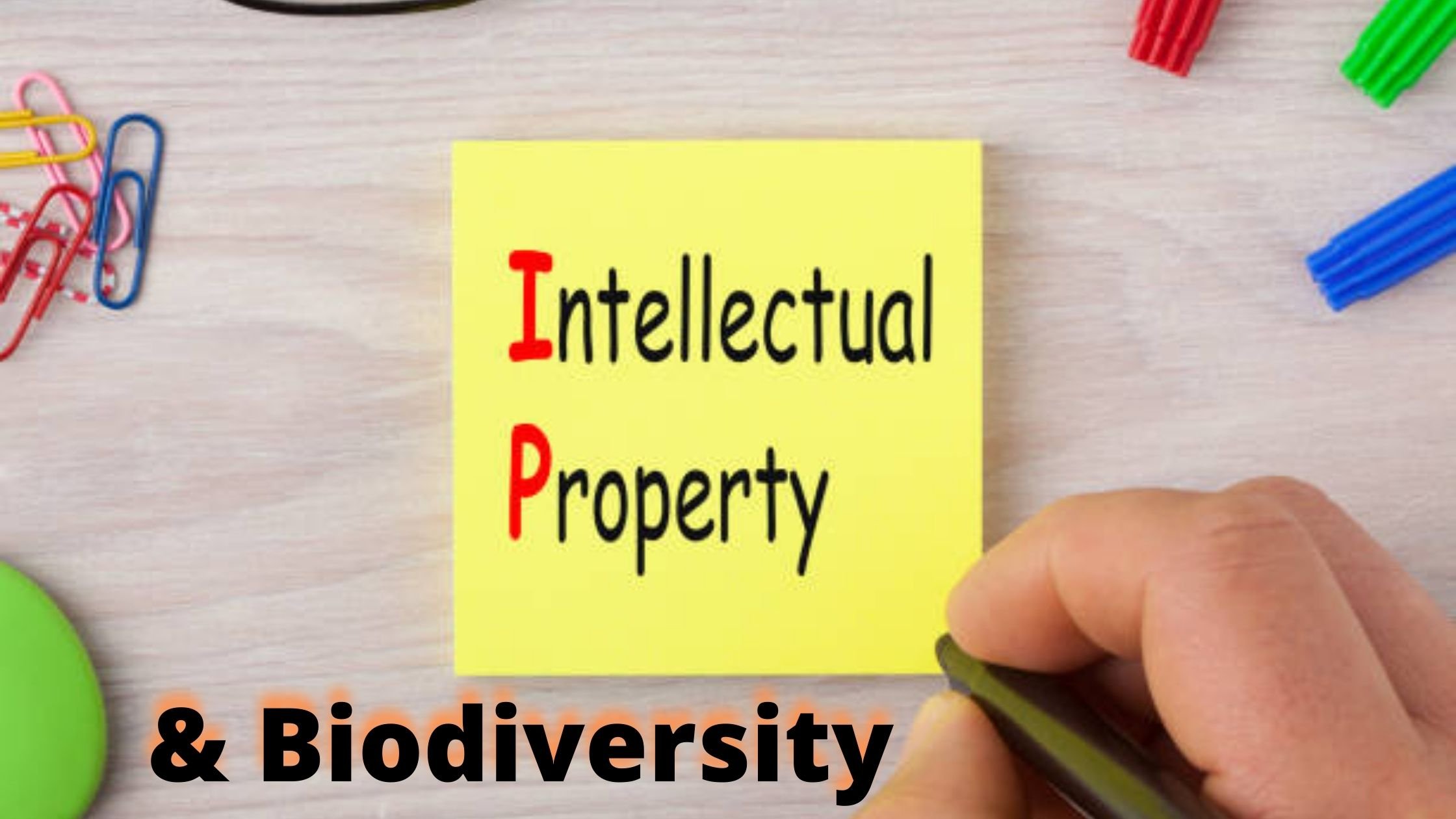 INTELLECTUAL PROPERTY AND BIODIVERSITY : ECONOMIC PERSPECTIVE