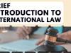 BRIEF INTRODUCTION TO INTERNATIONAL LAW