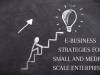 E-BUSINESS STRATEGIES FOR SMALL AND MEDIUM SCALE ENTERPRISES   