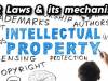 IPR LAWS AND THEIR MECHANISMS IN CYBERSPACE: DECODED