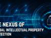 The Nexus of Global Intellectual Property Protection: A Deep Dive into the Role of International Institutions - WIPO and WTO