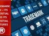 TRADEMARK LAW – ITS POTENTIAL AND ITS ESSENTIAL FEATURES